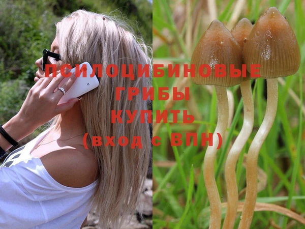 PSILOCYBIN Зеленокумск