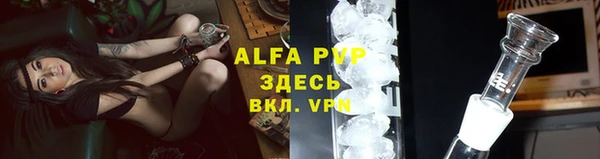крисы Зерноград