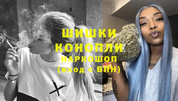крисы Зерноград