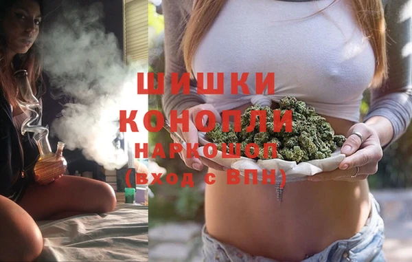 крисы Зерноград