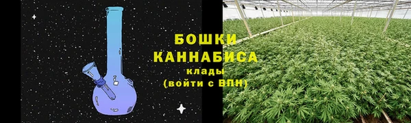 PSILOCYBIN Зеленокумск