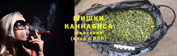 крисы Зерноград